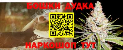 тгк Славгород