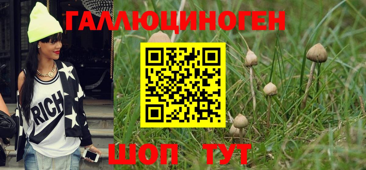 Галлюциногенные грибы прущие грибы  Псилоцибиновые грибы Magic Shrooms  Вход с VPN  Прокопьевск 