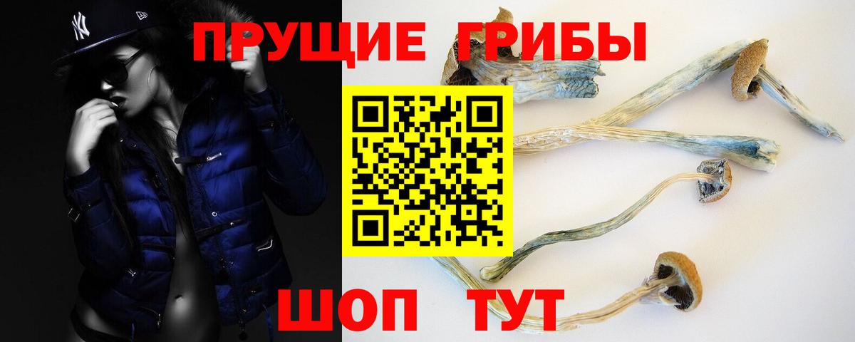 Псилоцибиновые грибы мухоморы Прокопьевск